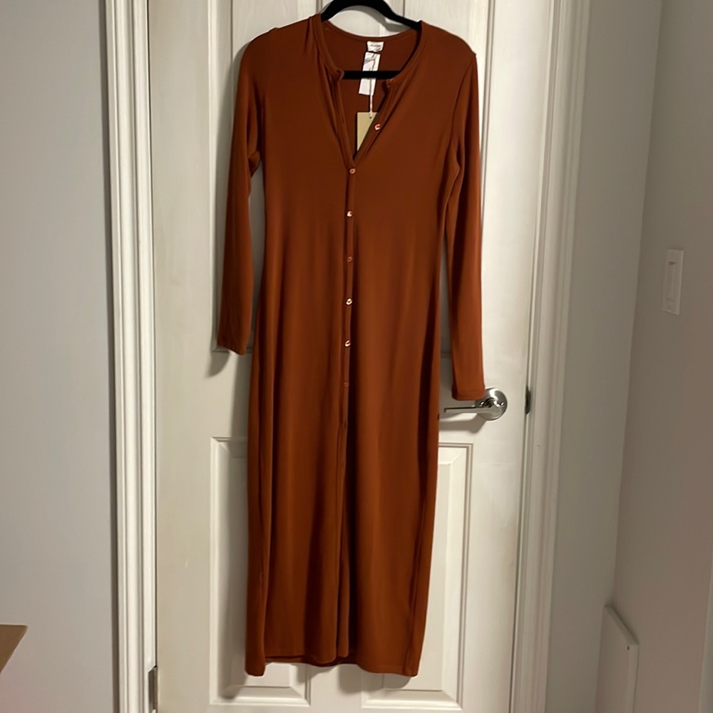 BNWT Wilfred Free Pisces dress